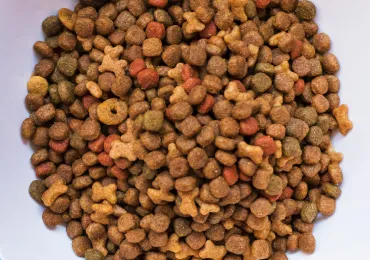 animal-feed-additives