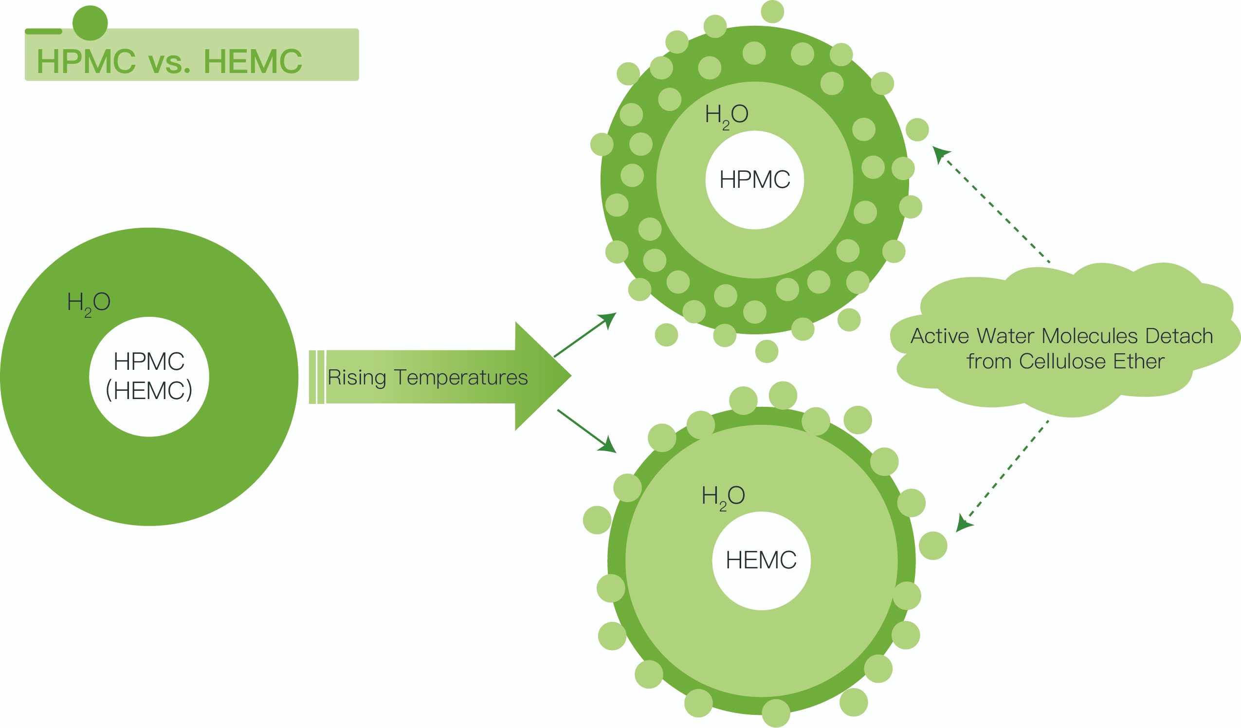 HPMC-против HEMC